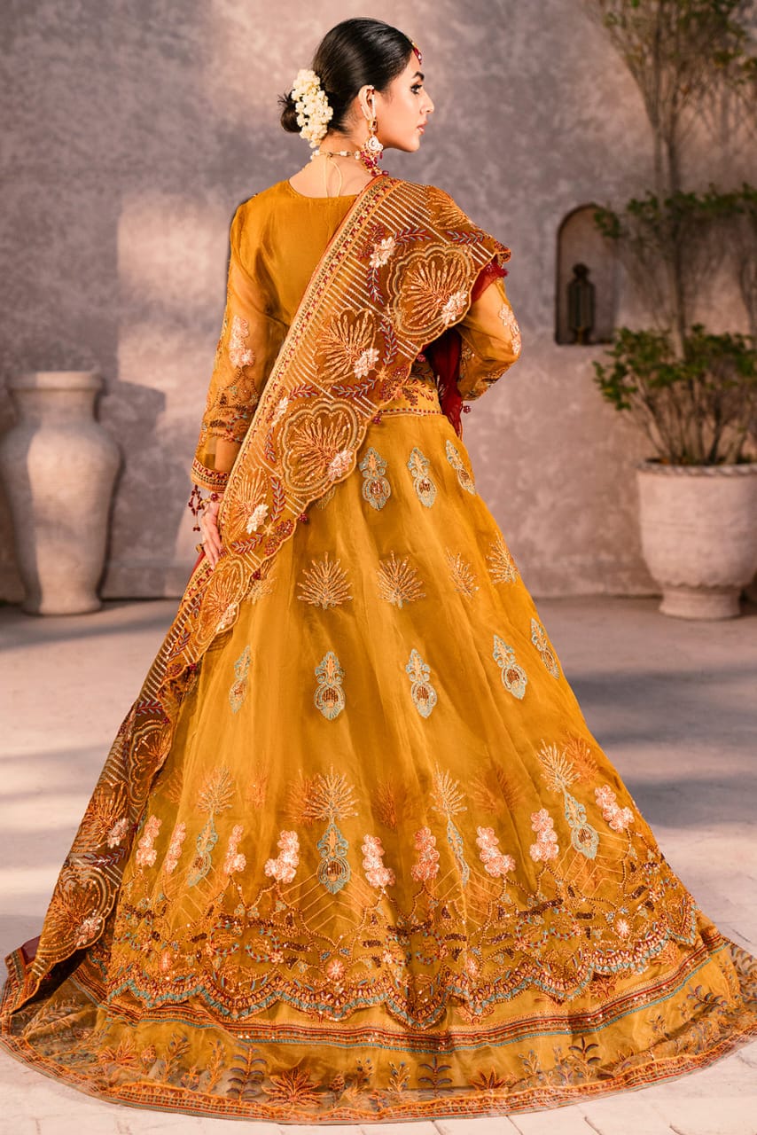 Zircon By Zebtan  Premium Collection