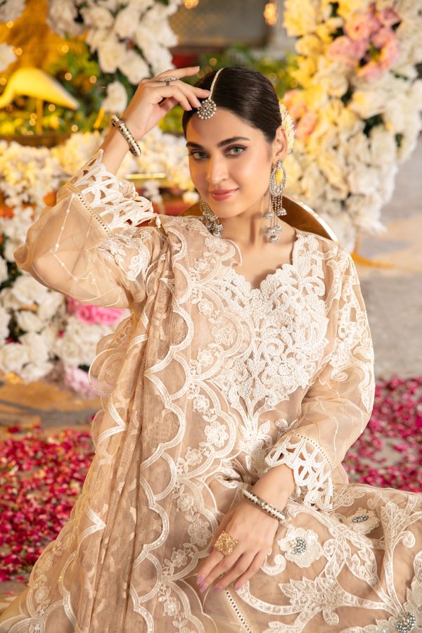 Jahan By Tawakkal Stitched Luxury Collection 2023