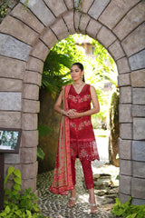 Noor by Saadia Asad Luxury Lawn Collection