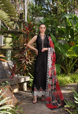 Noor by Saadia Asad Luxury Lawn Collection