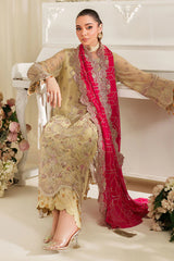 Noore By Imrozia Premium Collection