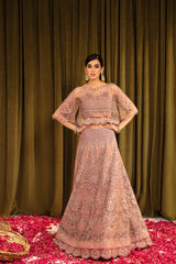 Alizeh Embroidered Premium Collection