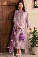 Zircon By Zebtan  Premium Collection