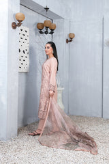 Mazal By Tawakkal Premium Lawn Collection