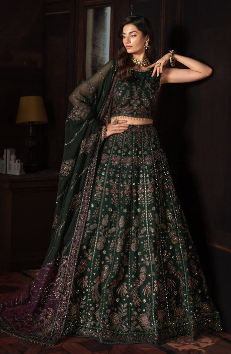 Zarif Luxury Premium Collection