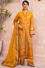 Zircon By Zebtan  Premium Collection