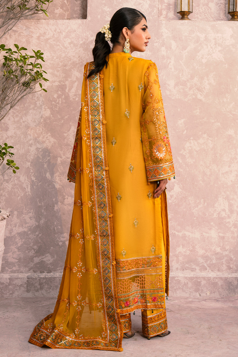 Zircon By Zebtan  Premium Collection