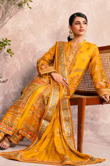 Zircon By Zebtan  Premium Collection