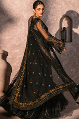 Zircon By Zebtan  Premium Collection
