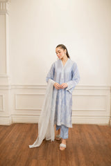 Lakhany Embroidered Suit