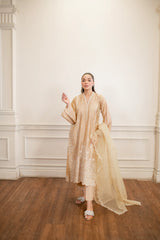 Lakhany Embroidered Suit