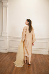 Lakhany Embroidered Suit