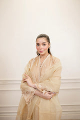 Lakhany Embroidered Suit