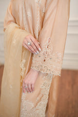 Lakhany Embroidered Suit