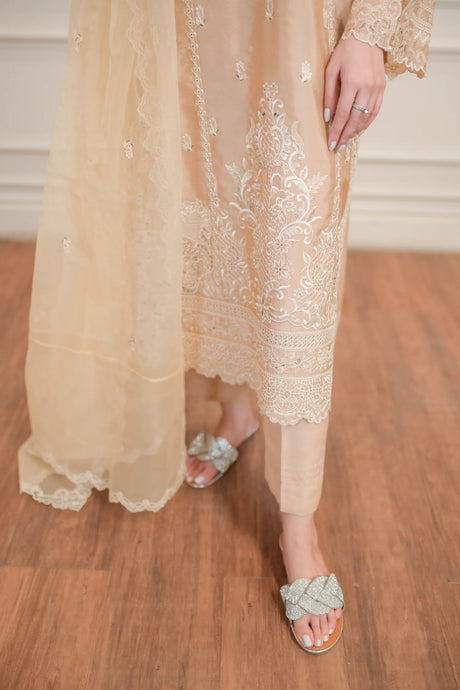 Lakhany Embroidered Suit