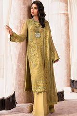 Zircon By Zebtan  Premium Collection