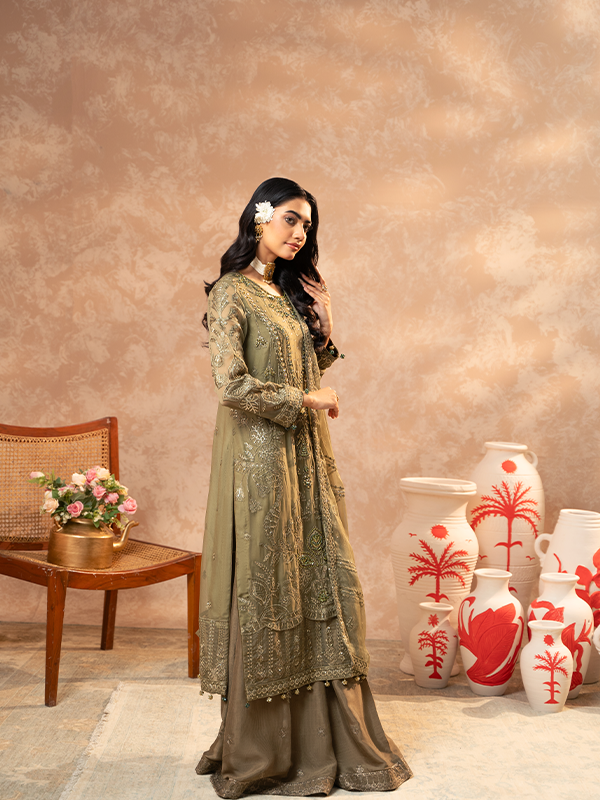 Zeenat By Zebtan  Premium Collection