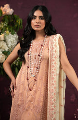 Alzohaib Luxury Formal Collection