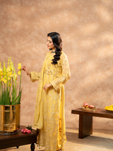 Zeenat By Zebtan  Premium Collection