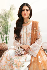Chevron By Ramsha Chiffon Collection