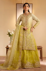 Ramansiyyah by Emaan Adeel Premium  Collection
