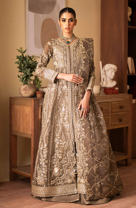 Ramansiyyah by Emaan Adeel Premium  Collection