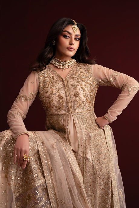 Nooresha by Emaanadeel Luxury  Collection