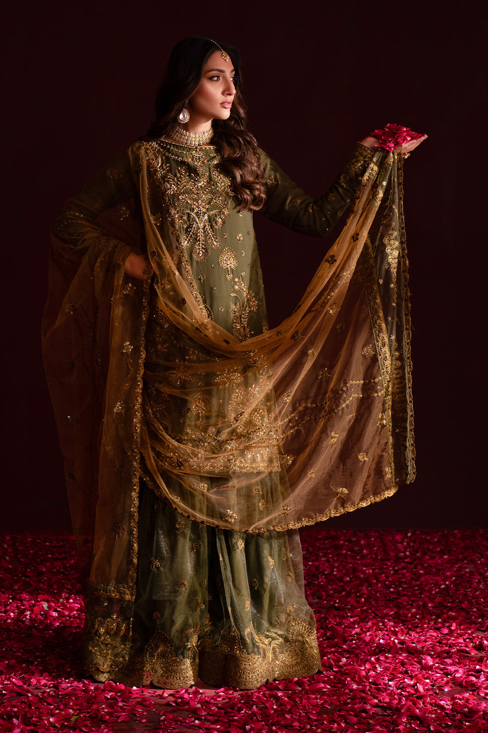 Nooresha by Emaanadeel Luxury  Collection