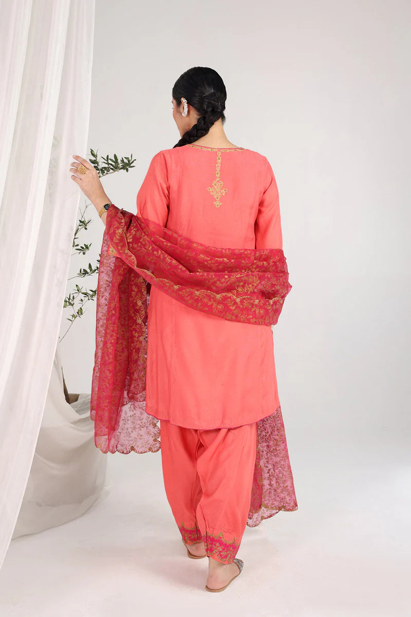 Hues of Red Zareen By Generation