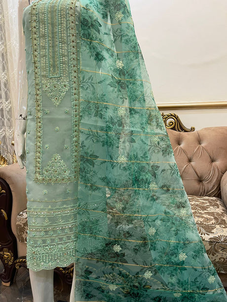 New Pure Organza Fancy Collection