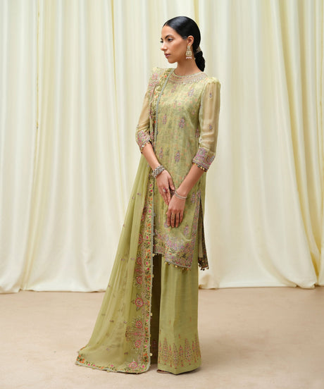Sapphire Luxe Pale Olive Embroidered Chiffon Suit - Details