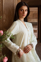 CrossStitch Embroidered Collection