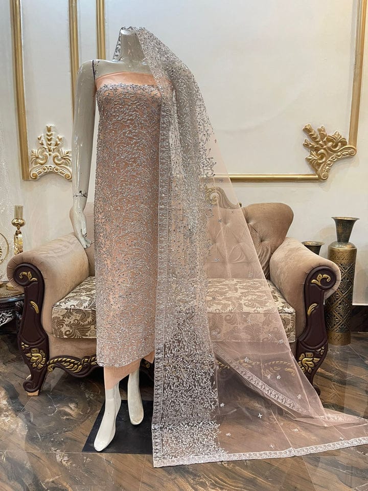 Pakistani Embroidered Party wear Ready To Ship