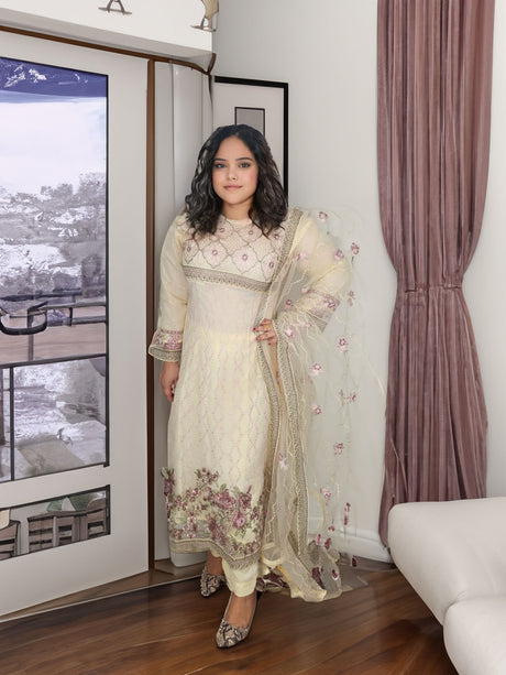 Pakistani Embroidered Party wear Ready To Ship