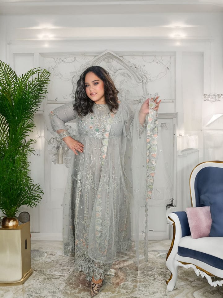 Pakistani Embroidered Party wear Ready To Ship