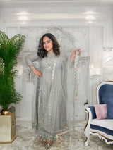 Pakistani Embroidered Party wear Ready To Ship