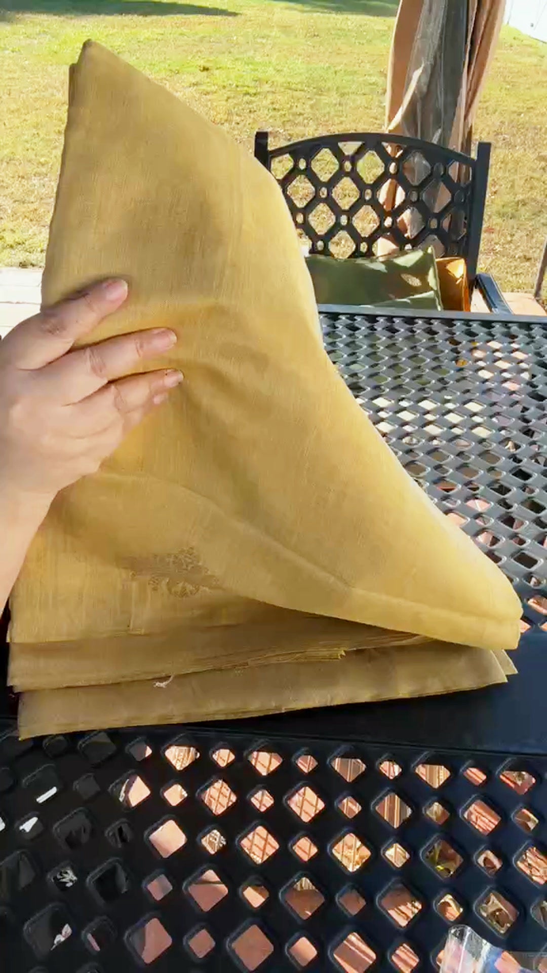 Tissue Silk Saree - Gold Beige - Video