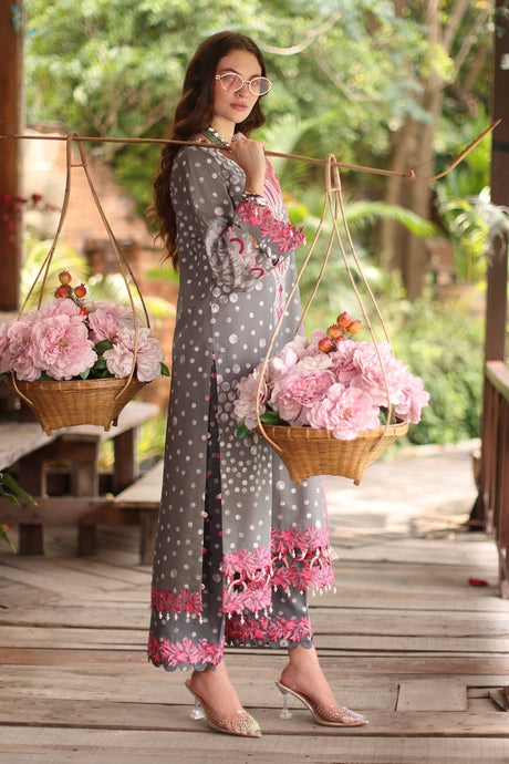 Aniiq By Charizma Embroidered Lawn Collection