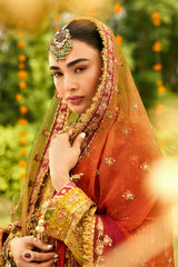 Shehnai By Alizeh Premium Embroidered Collection