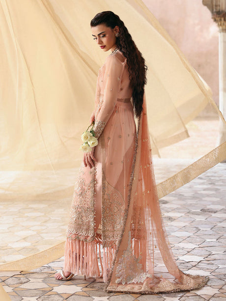 Parishay Jahanara Luxury Formals