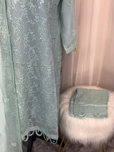 Pakistani Embroidered Party wear Ready To Ship