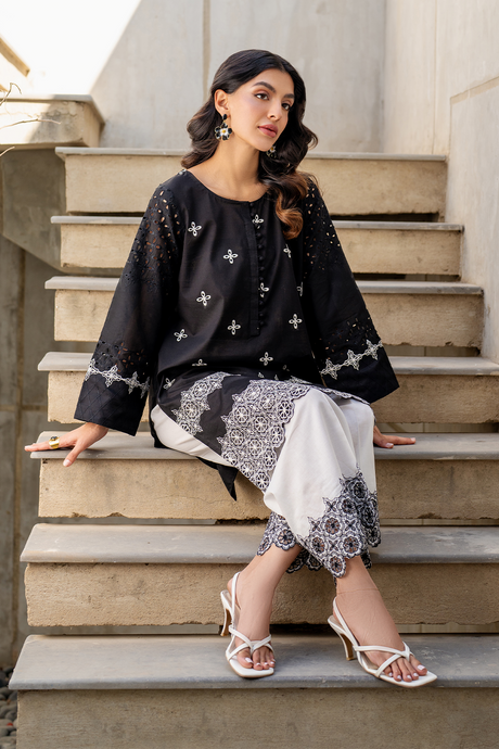 2 PC Embroidered Iznik Lawn  Collection