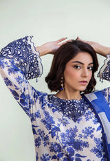 Adan's Prints Luxury Collection