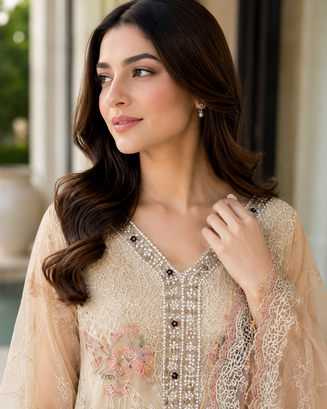 Ramsha Luxury Chiffon Premium Collection
