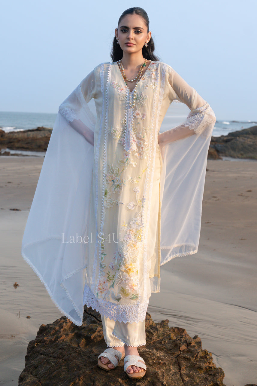 Pearl Organza Embroidered Suit