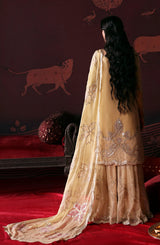 Devdas by Emaan Adeel  Luxury  Collection