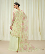 Sapphire Embroidered Chiffon Suit
