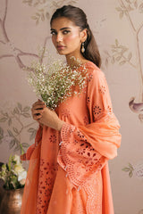 CrossStitch Embroidered Collection