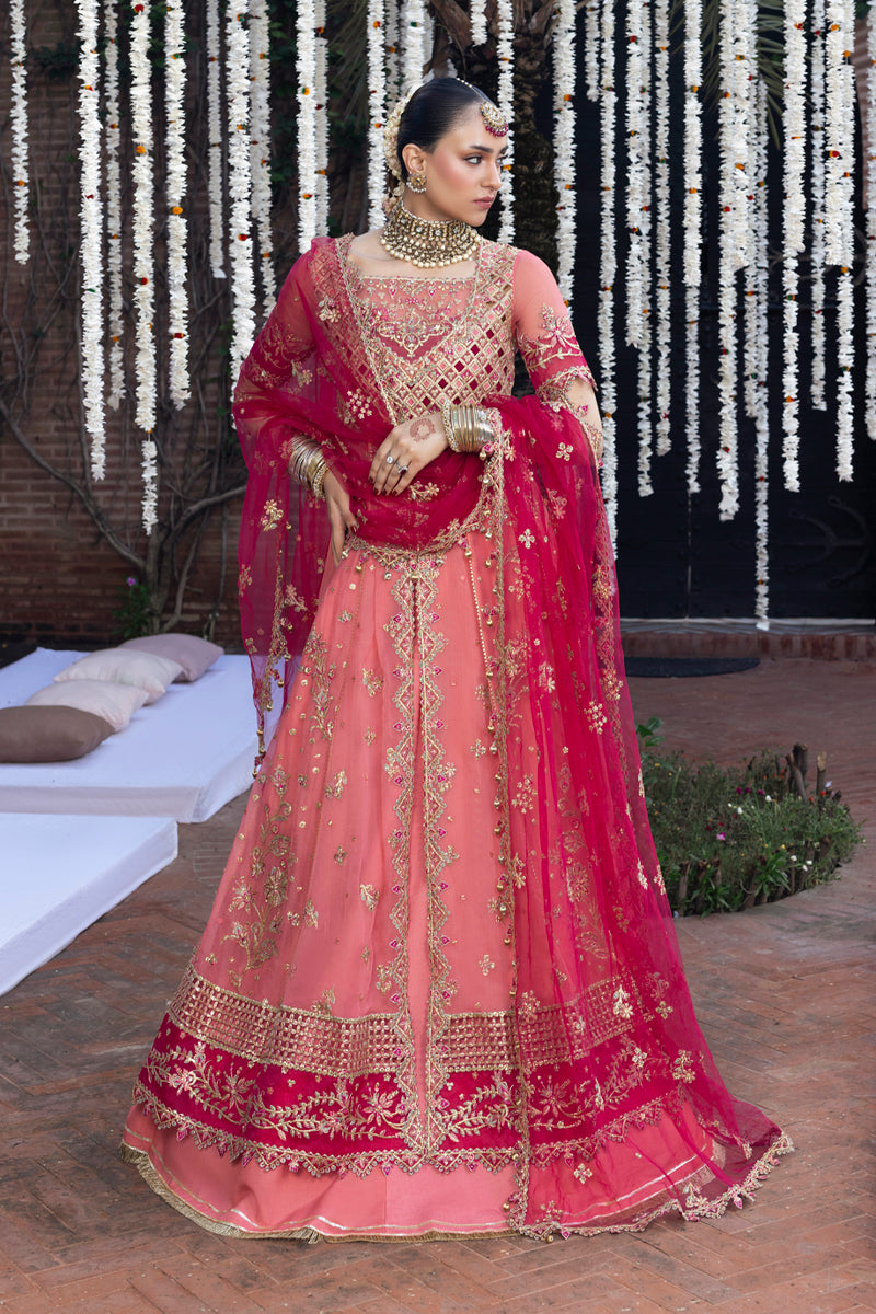 Rang Rasiya Wedding Formal Collection
