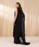 3 Piece - Embroidered Chiffon Suit by Sapphire